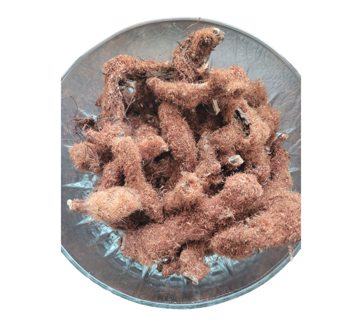 Kalawalla (Polypodium Leucotomos)