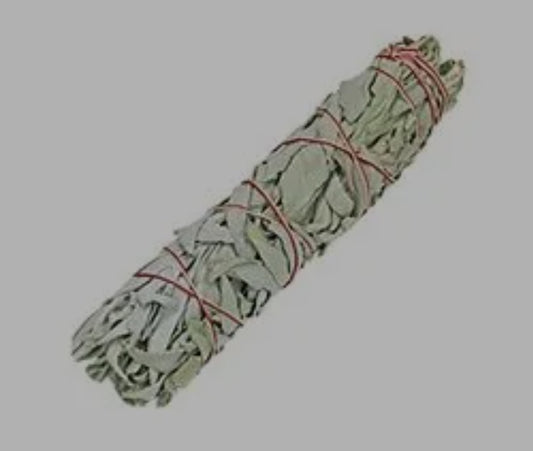 White Sage 9 inch