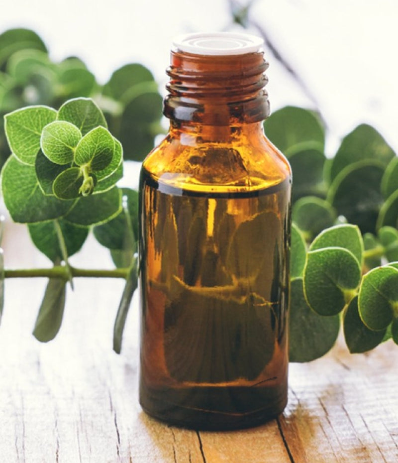 Eucalyptus oil