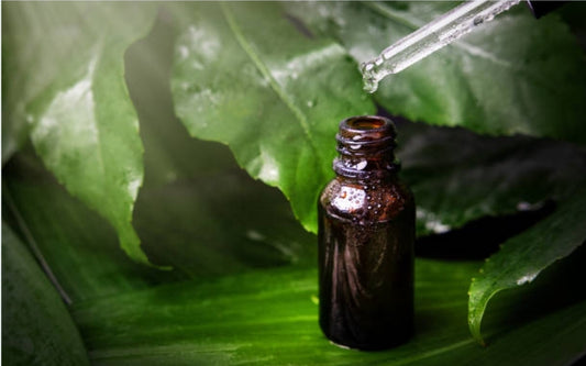 Lavender Oil